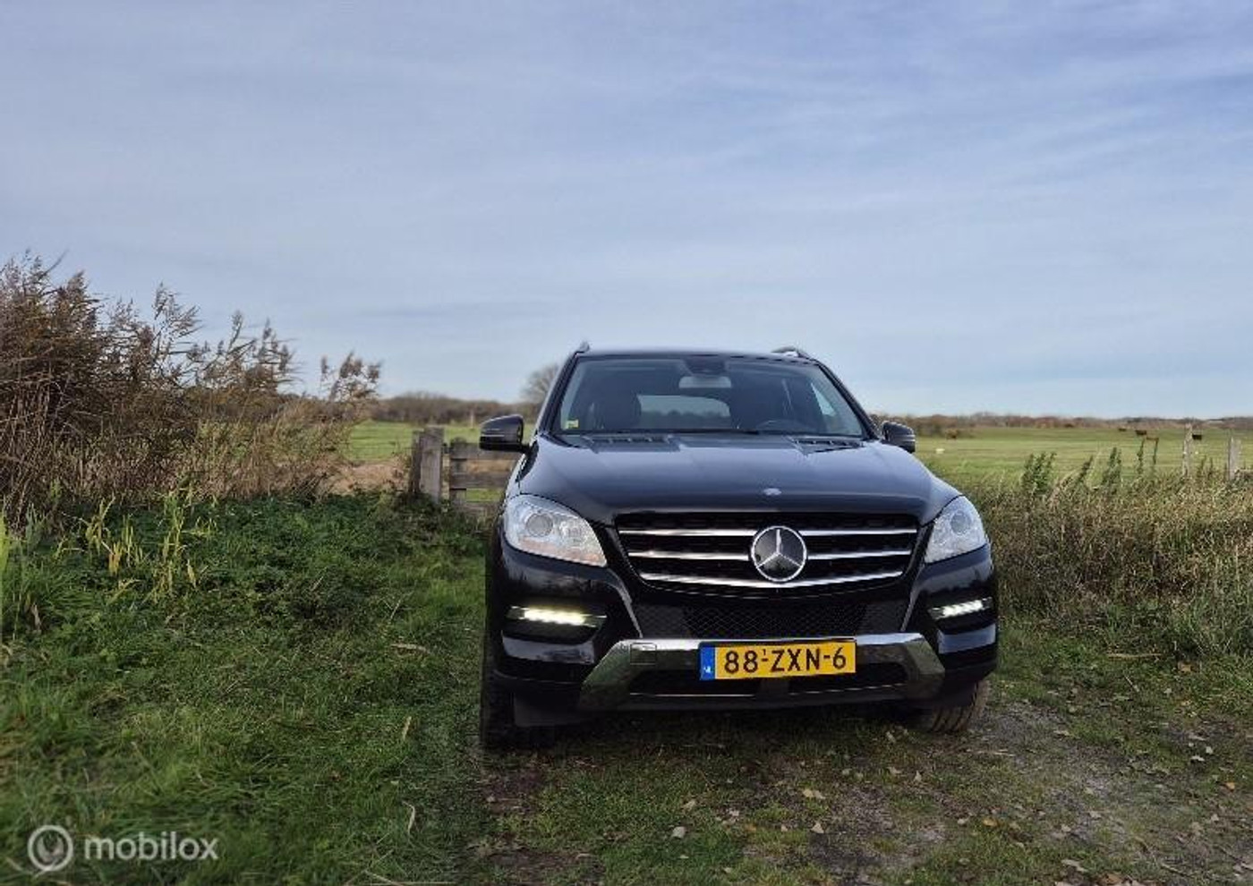 Foto van Mercedes-Benz ML 350 4Matic