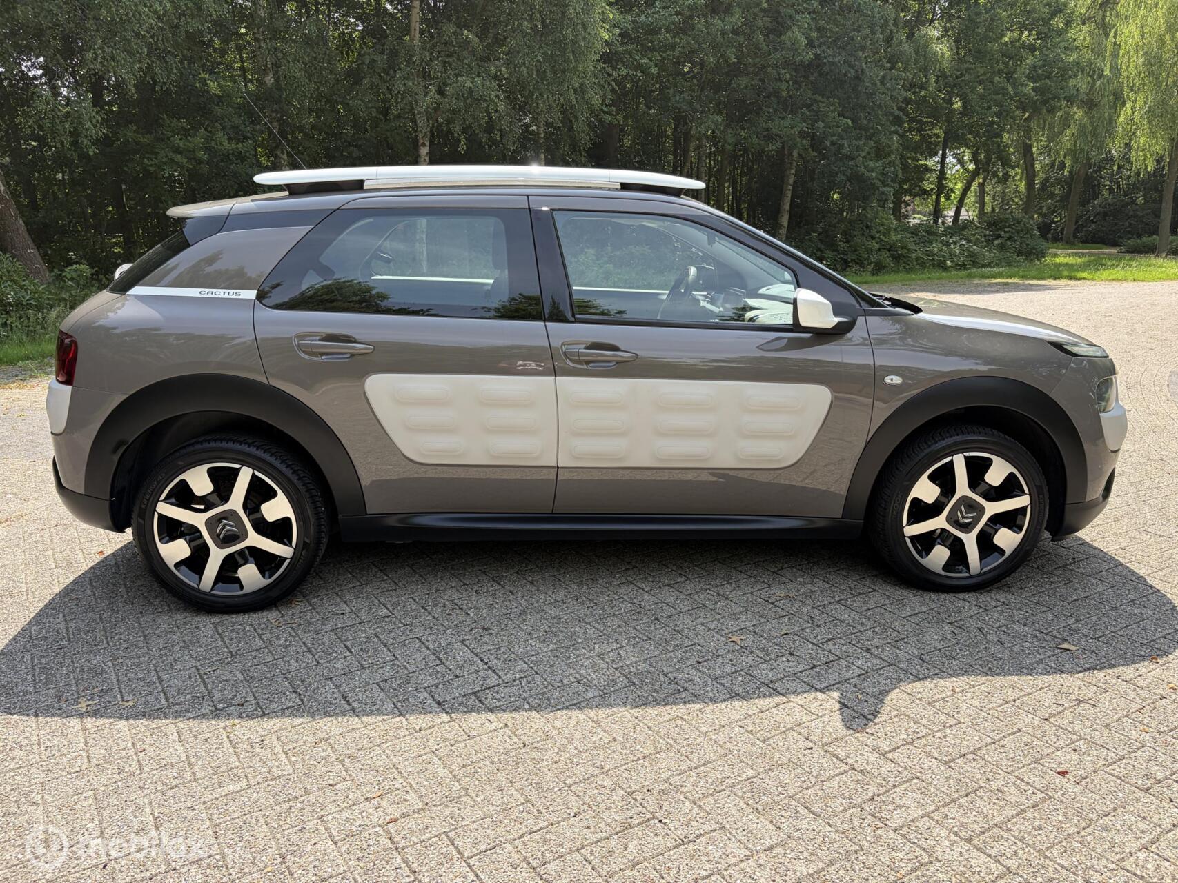 Foto van Citroen C4 Cactus