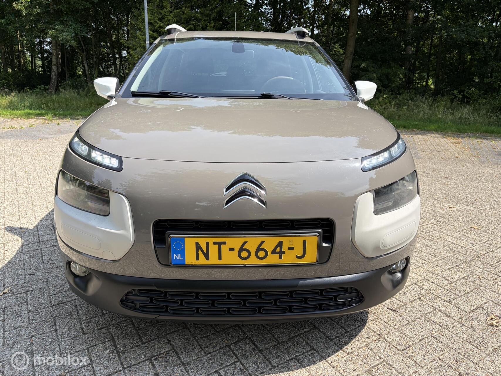 Foto van Citroen C4 Cactus
