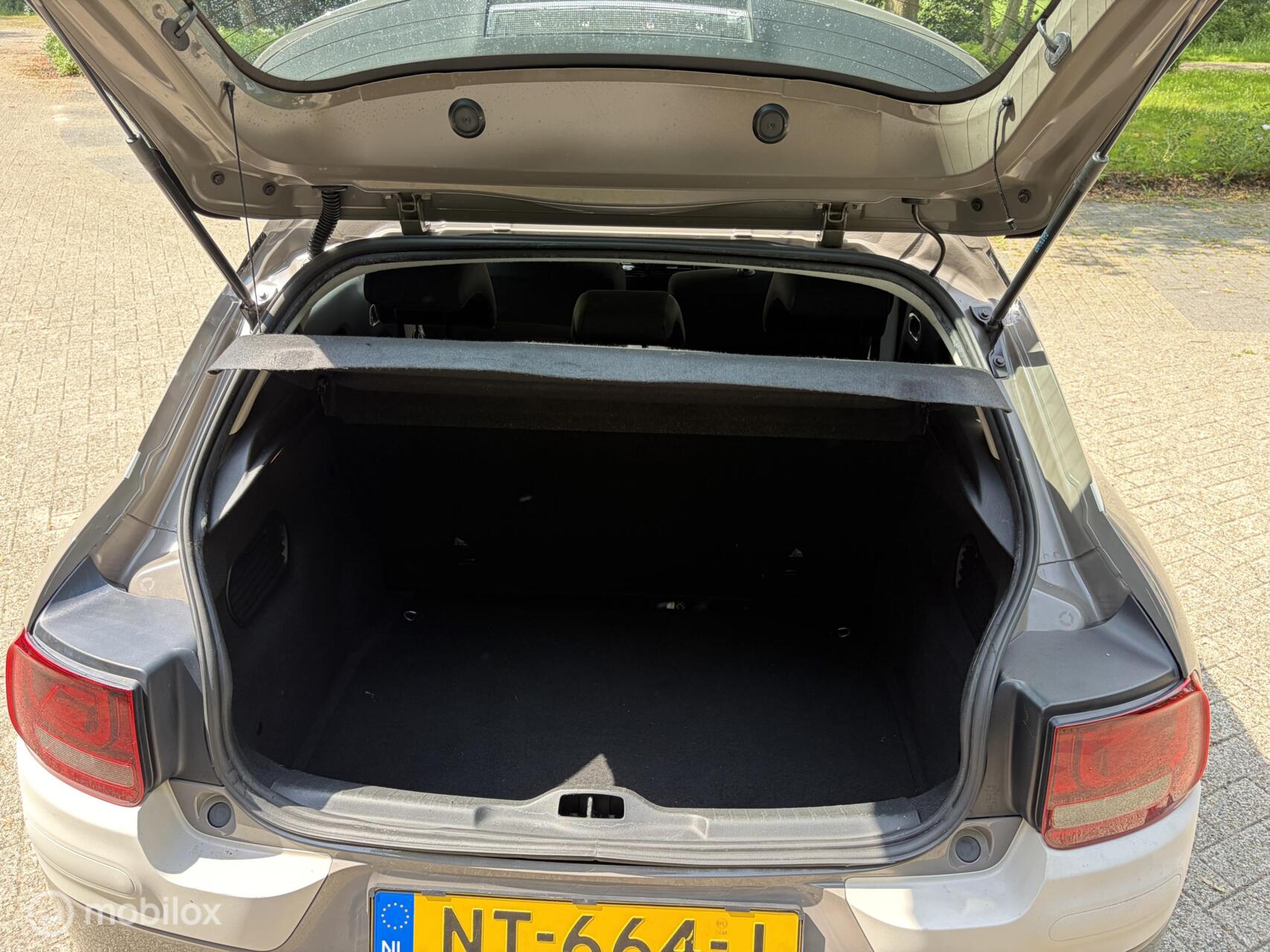 Foto van Citroen C4 Cactus