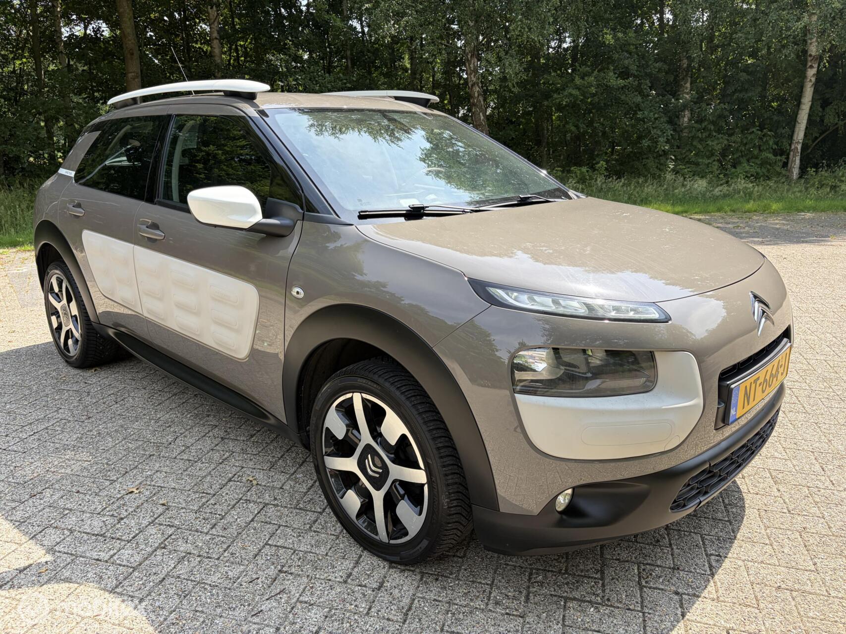 Foto van Citroen C4 Cactus