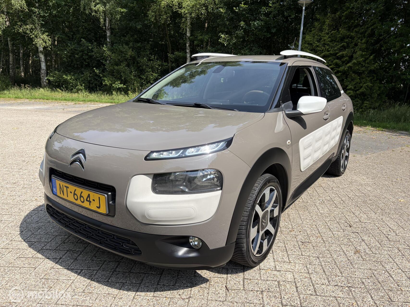 Foto van Citroen C4 Cactus