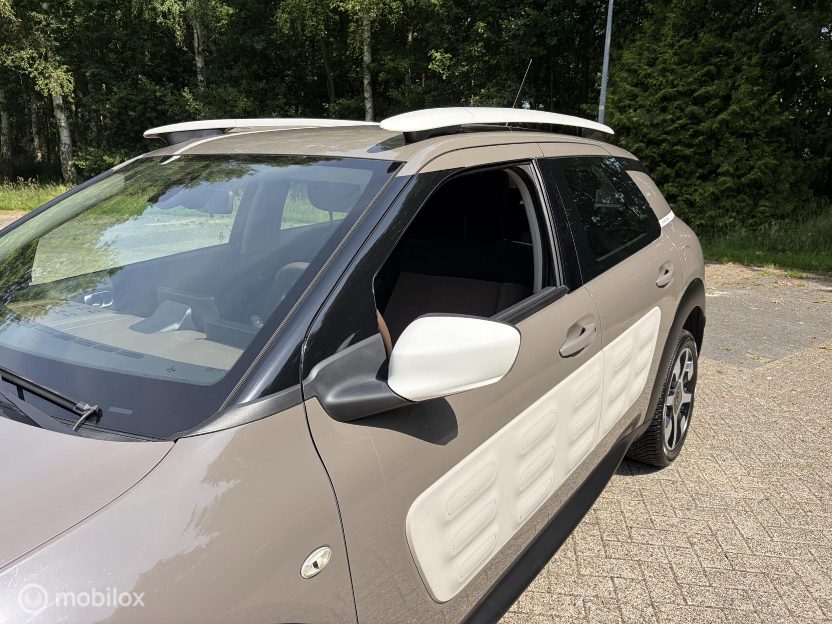 Foto van Citroen C4 Cactus