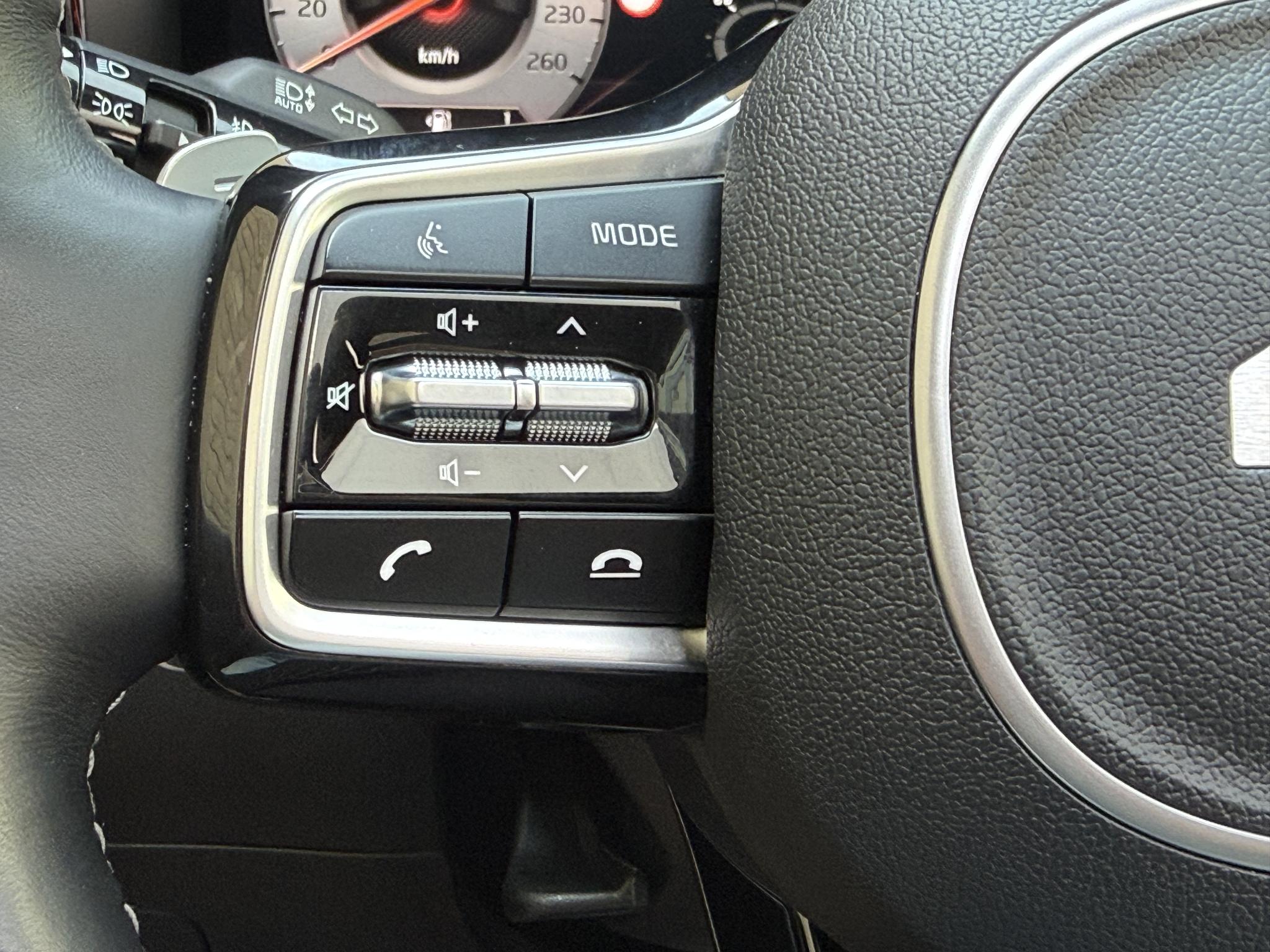 Foto van Kia Sorento