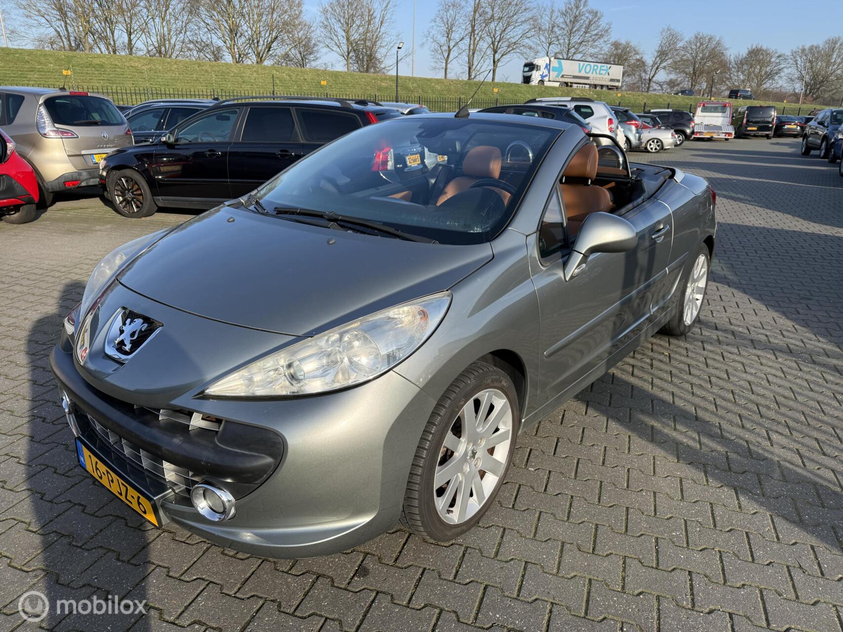 Foto van Peugeot 207