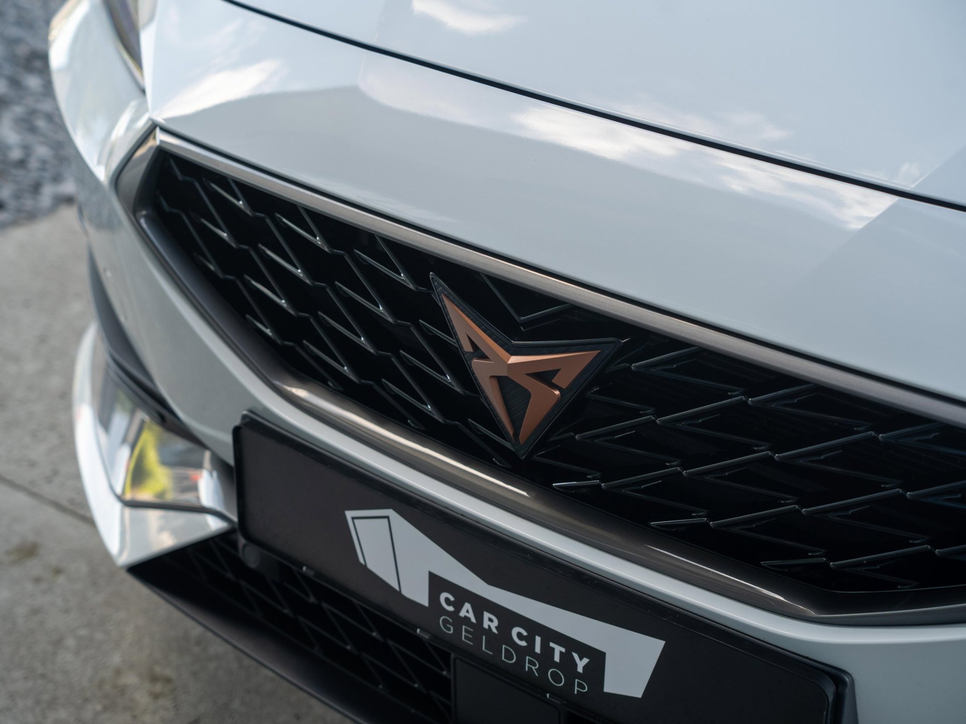Foto van Cupra Leon Sportstourer
