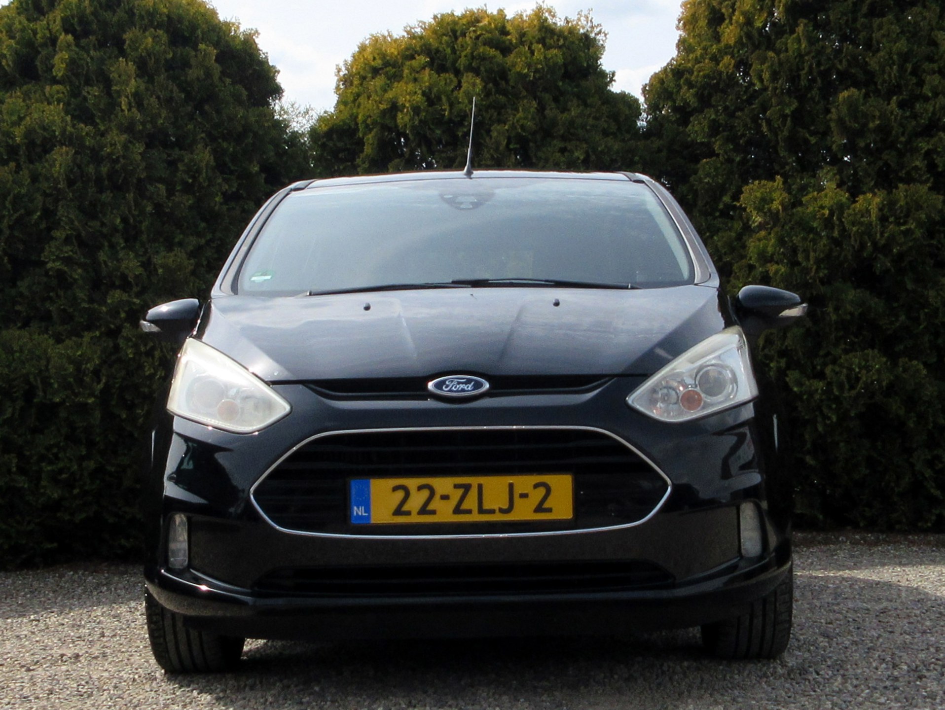 Foto van Ford B-max