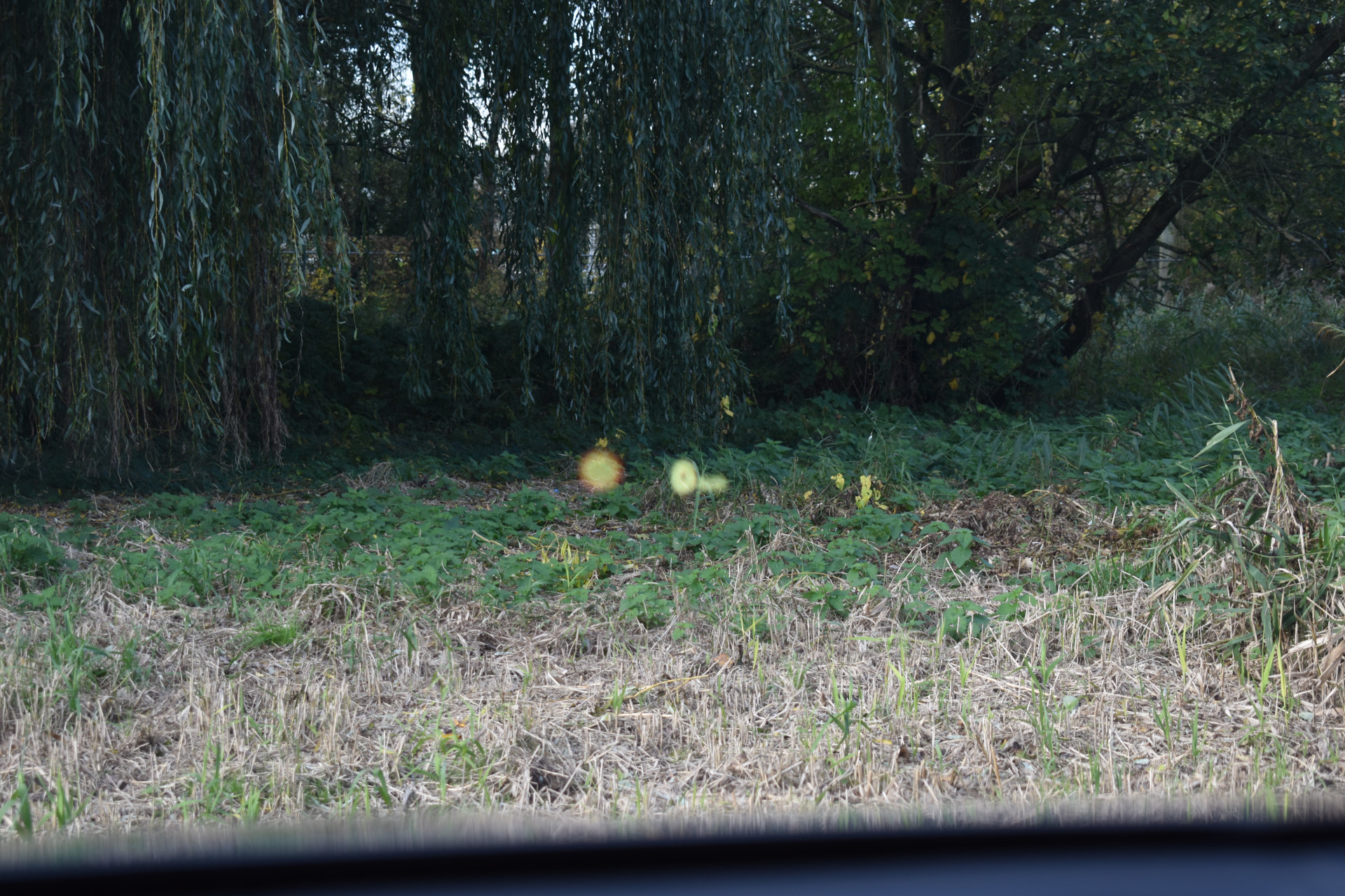 Foto van BMW X2