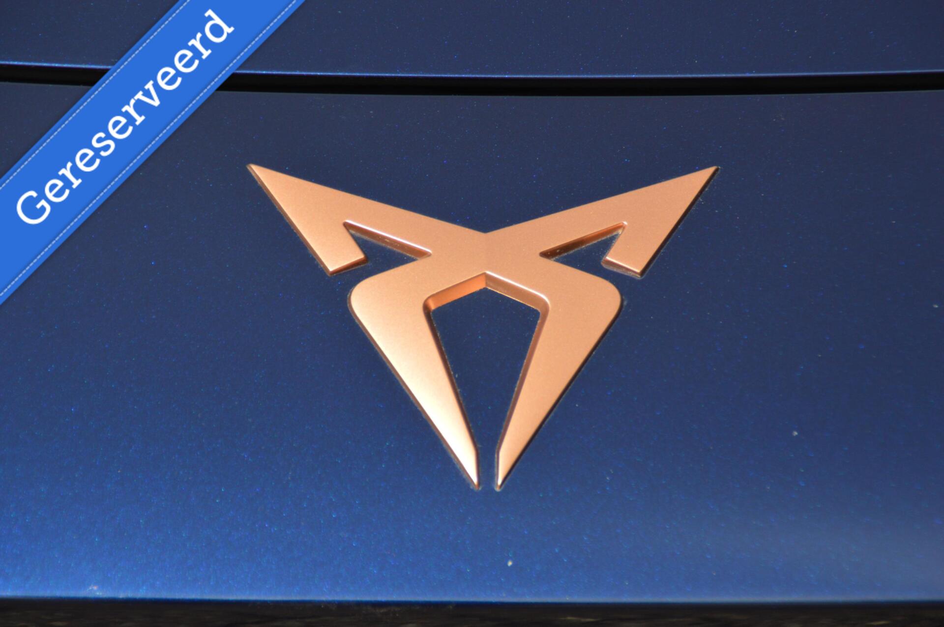 Foto van Cupra Terramar E-hybrid