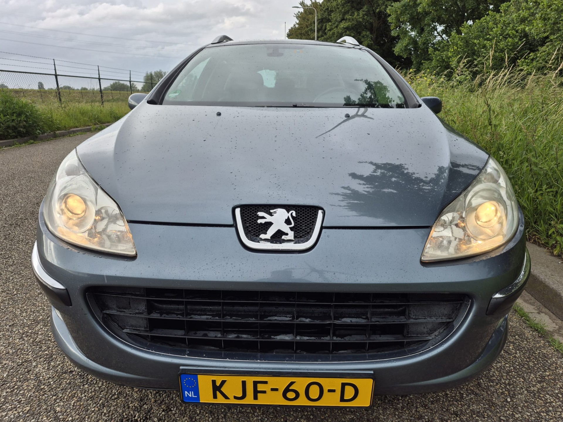 Foto van Peugeot 407