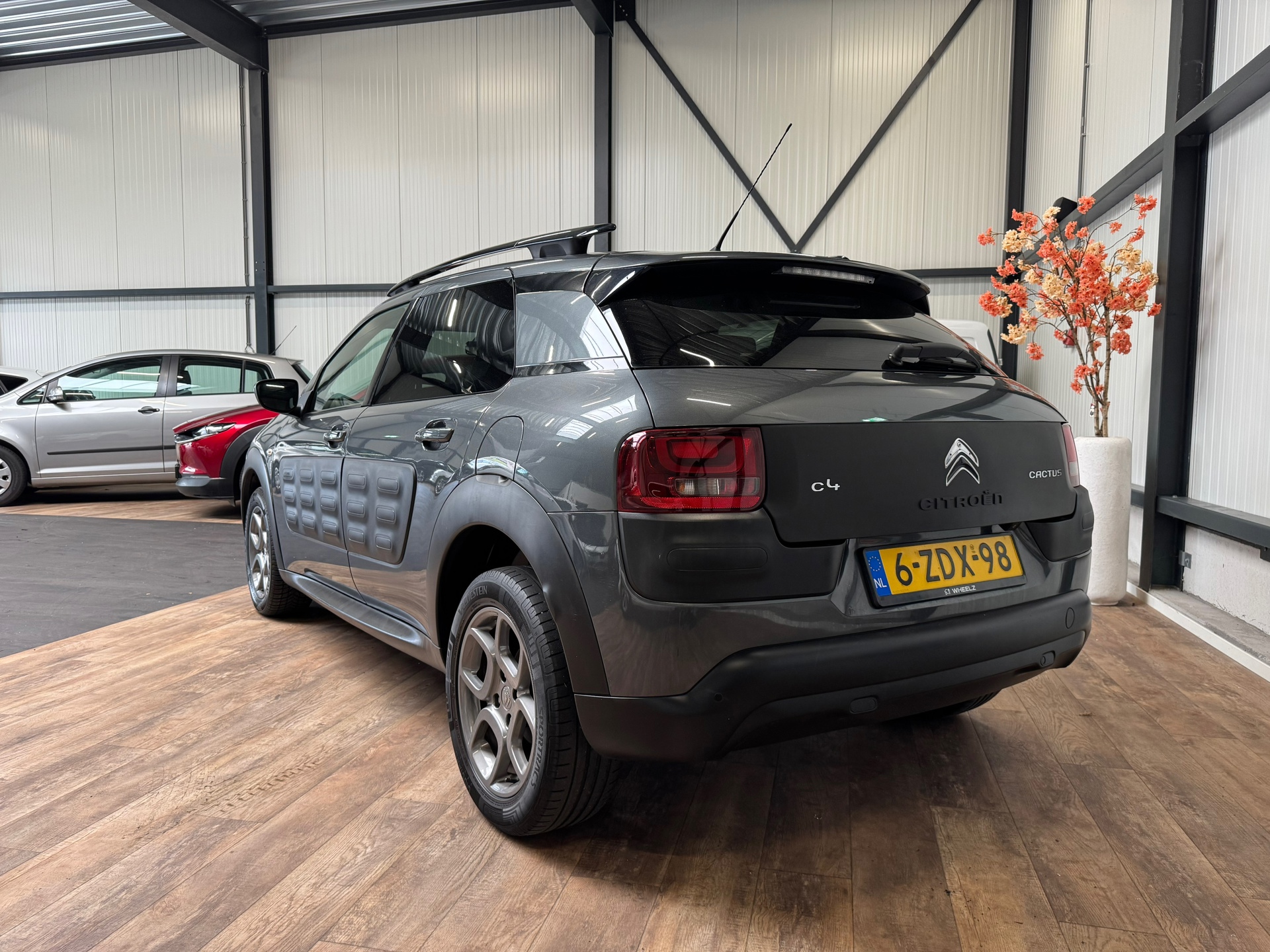 Foto van Citroen C4 Cactus