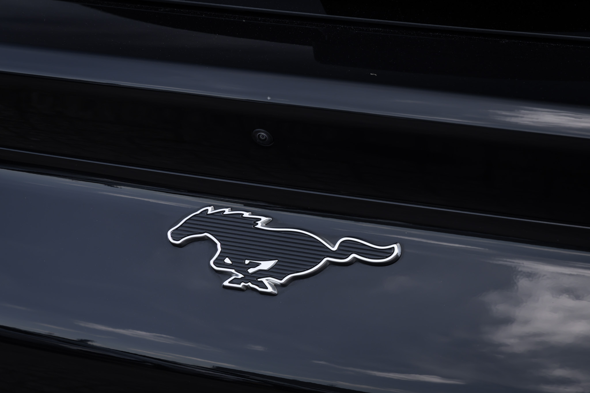 Foto van Ford Mustang Mach-e