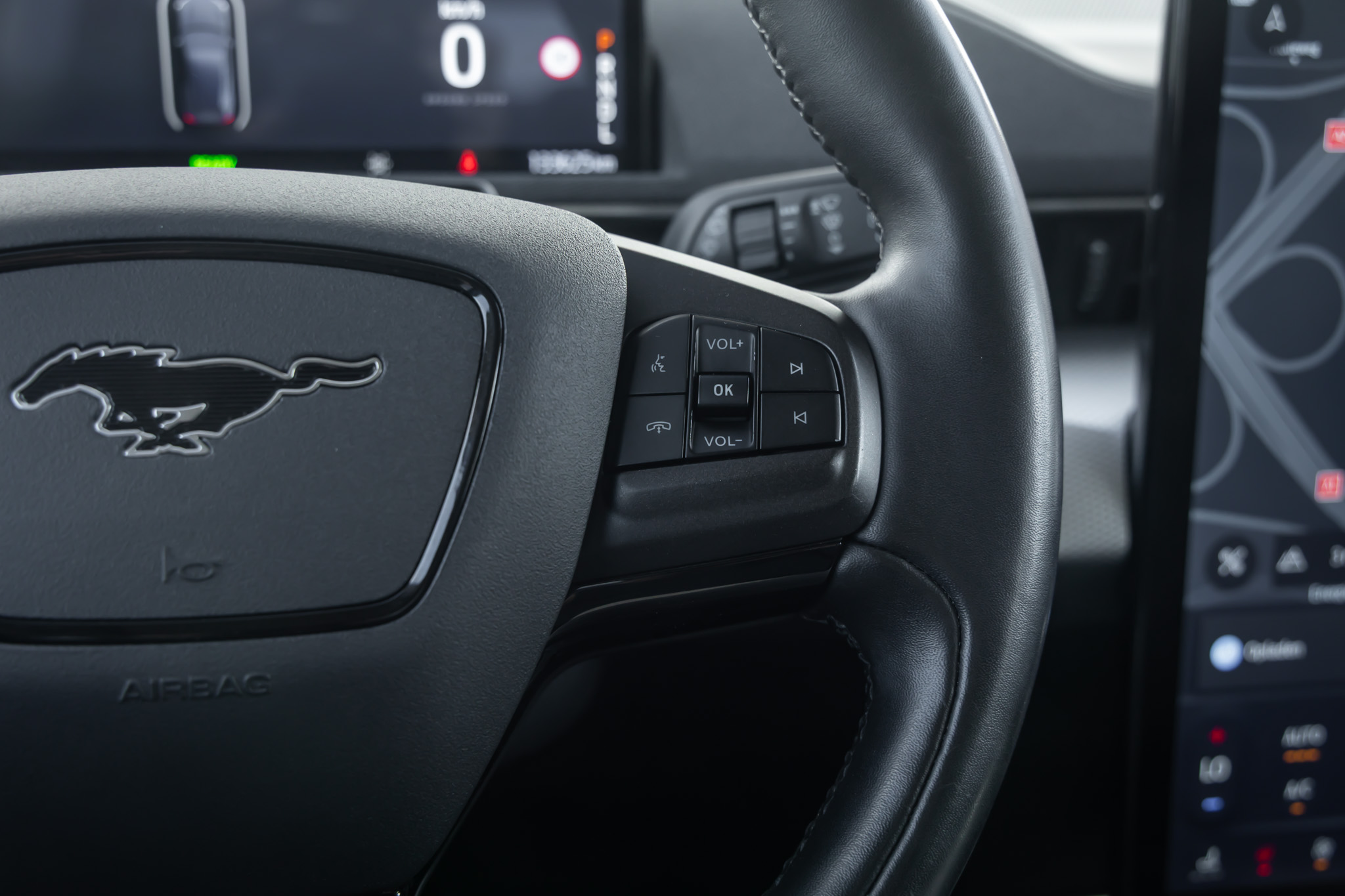 Foto van Ford Mustang Mach-e