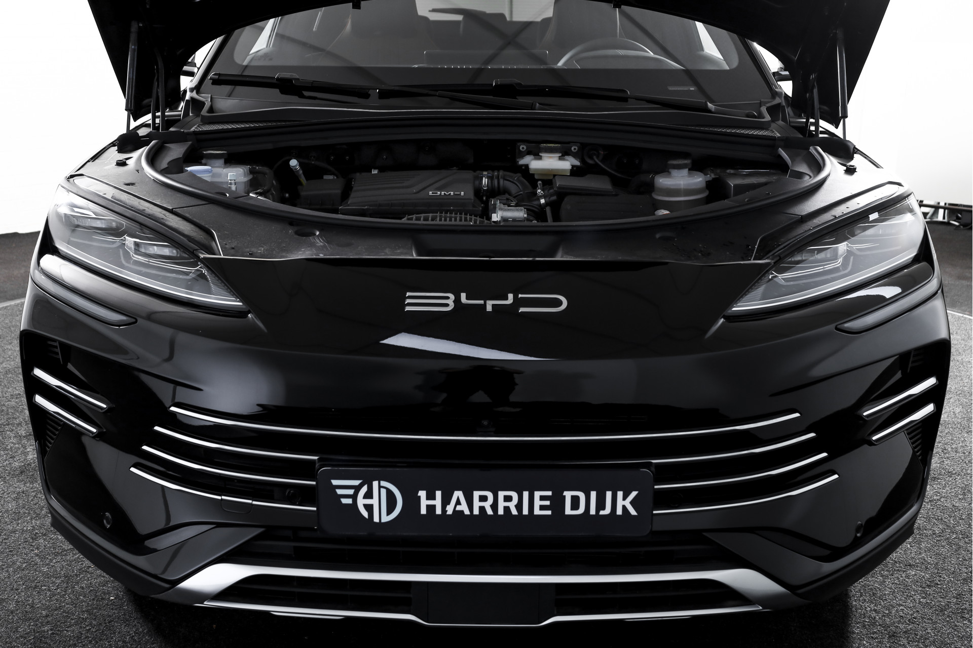 Foto van BYD Seal U