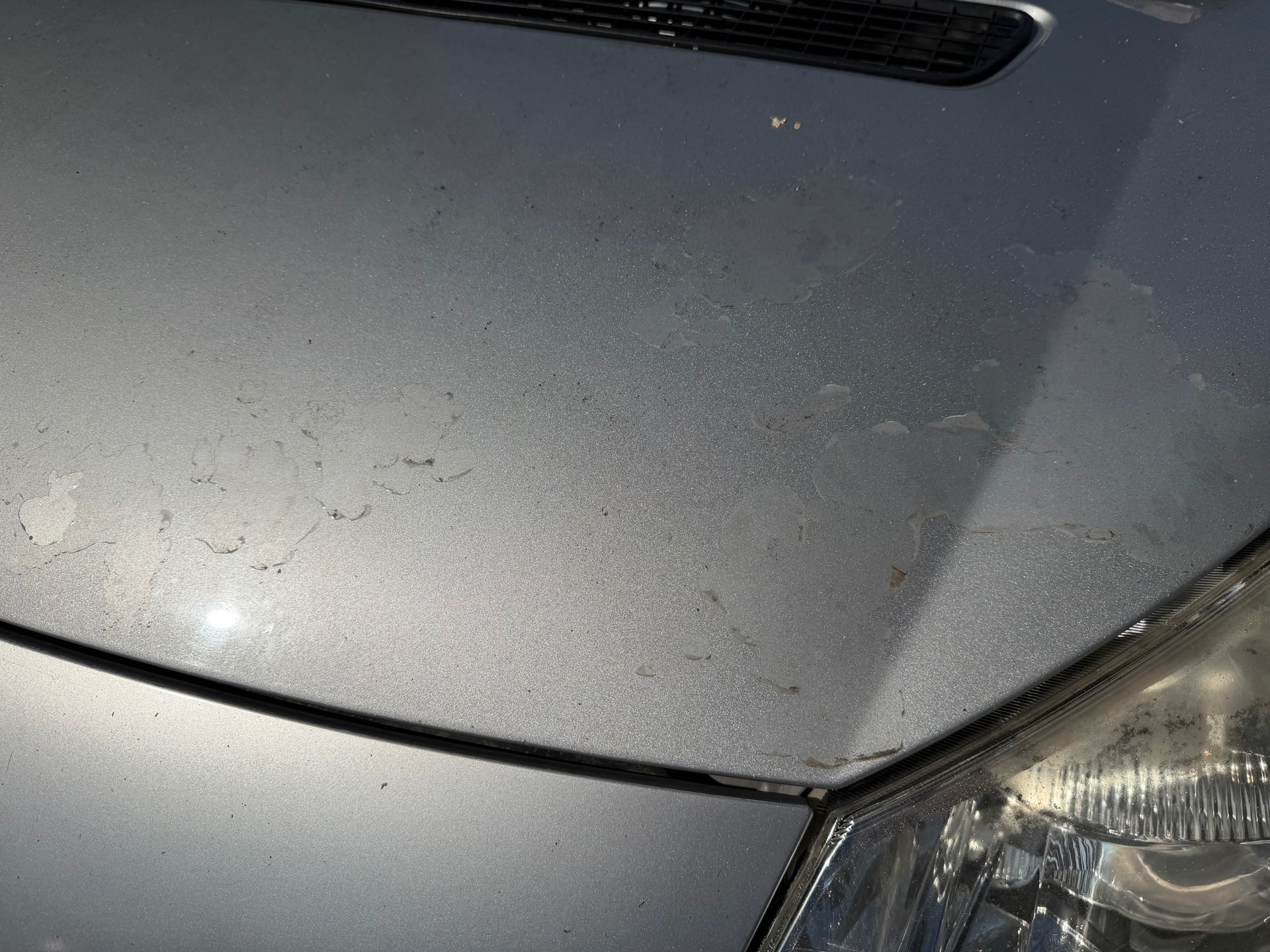 Foto van Peugeot Expert 229 L2h2 2.0hdi 16v-120