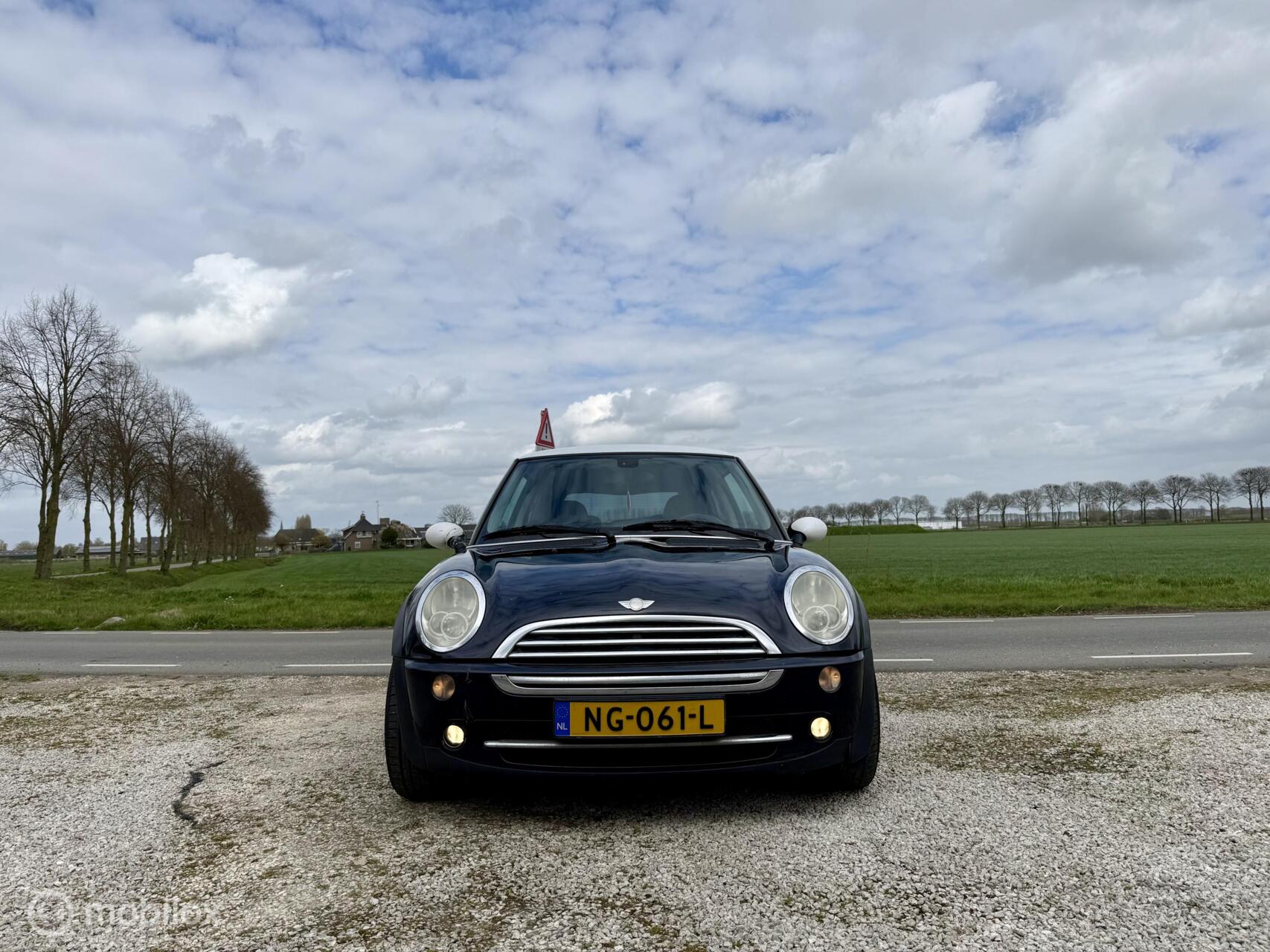 Foto van Mini Mini Cooper
