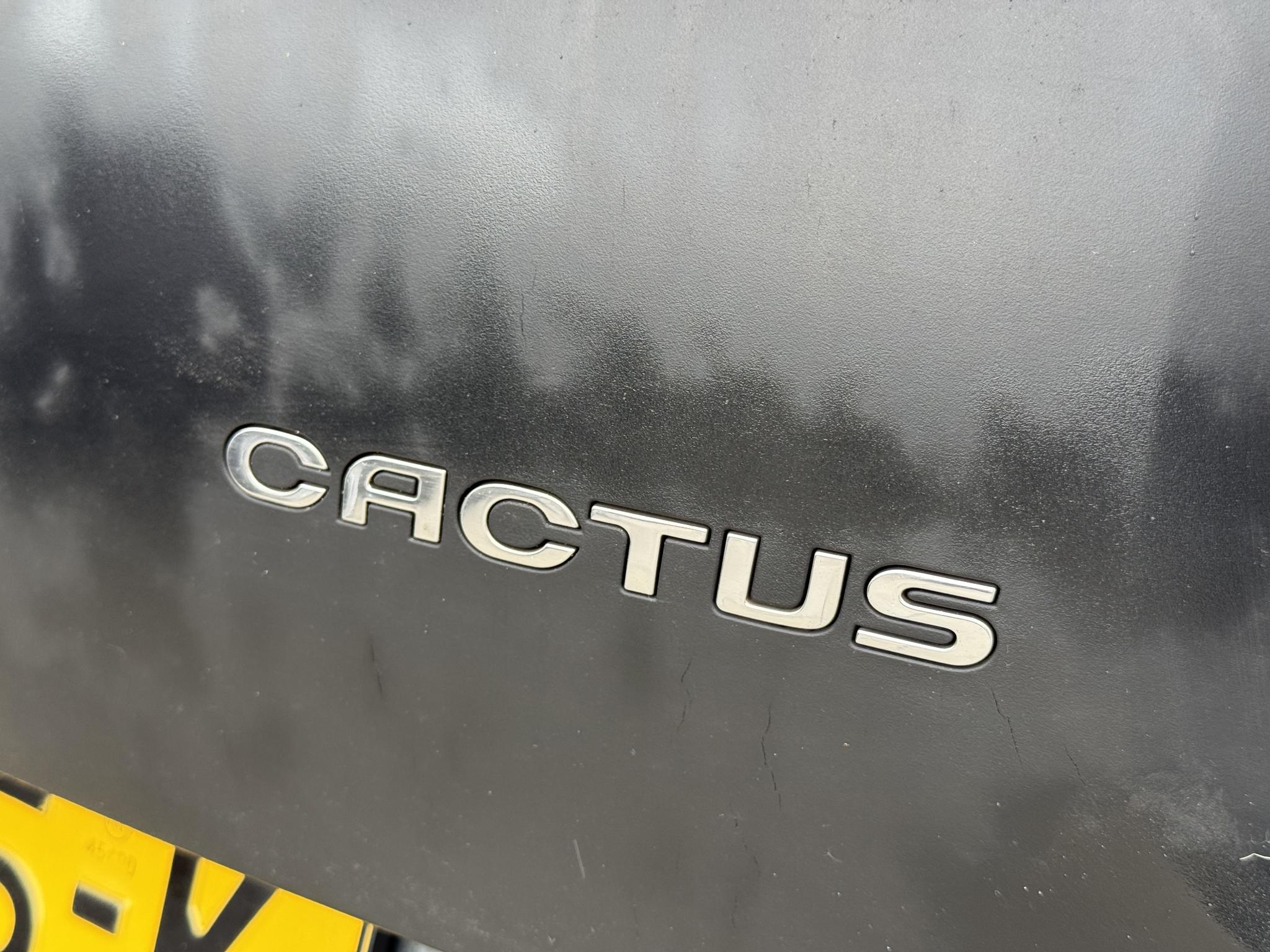 Foto van Citroen C4 Cactus