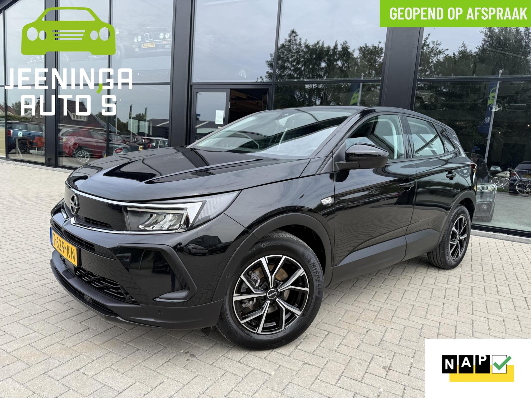 Foto van OPEL GRANDLAND