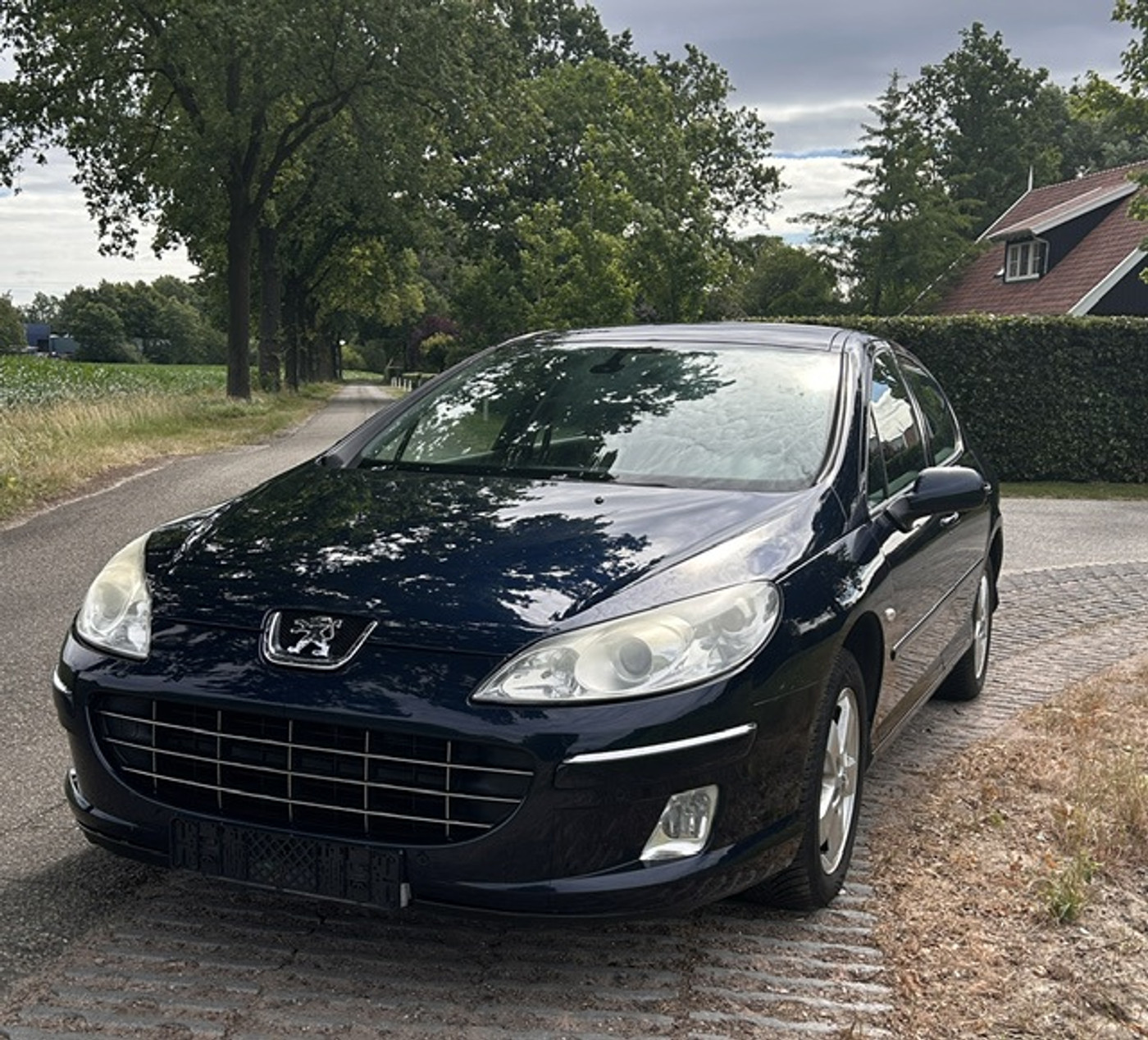Foto van Peugeot 407
