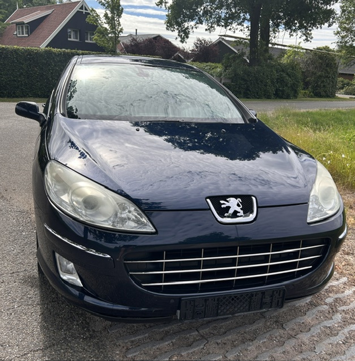 Foto van Peugeot 407