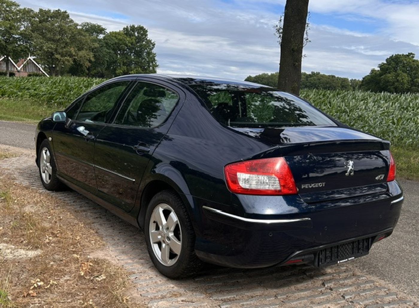 Foto van Peugeot 407