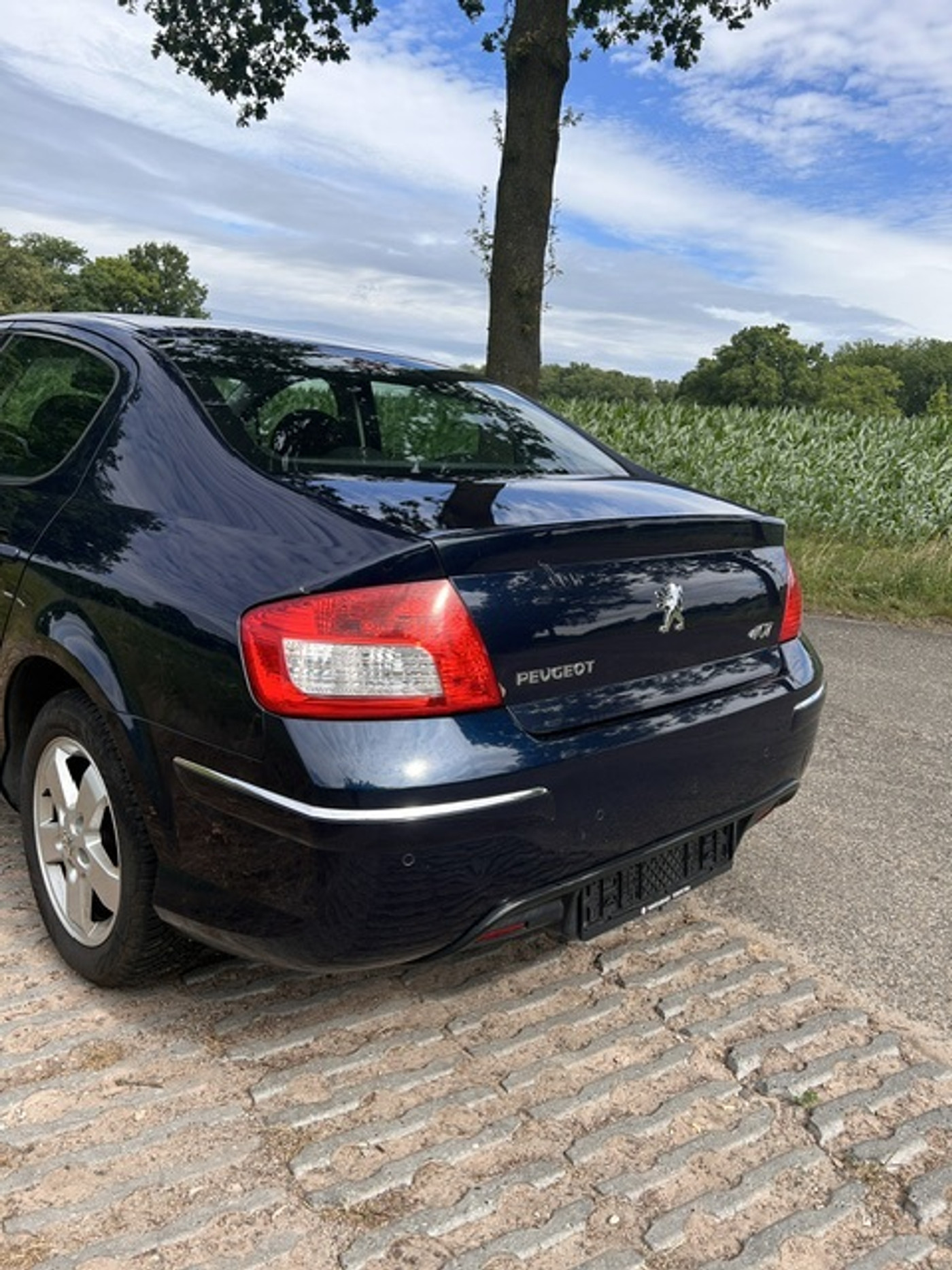 Foto van Peugeot 407