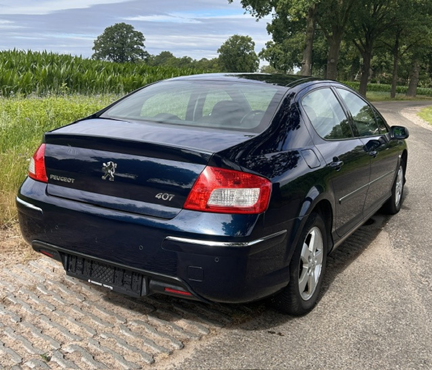 Foto van Peugeot 407