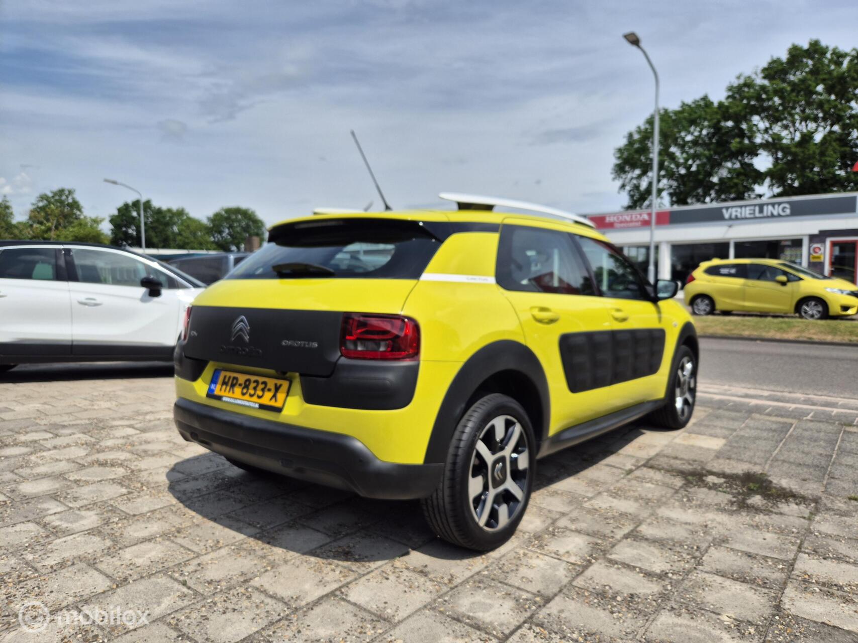 Foto van Citroen C4 Cactus