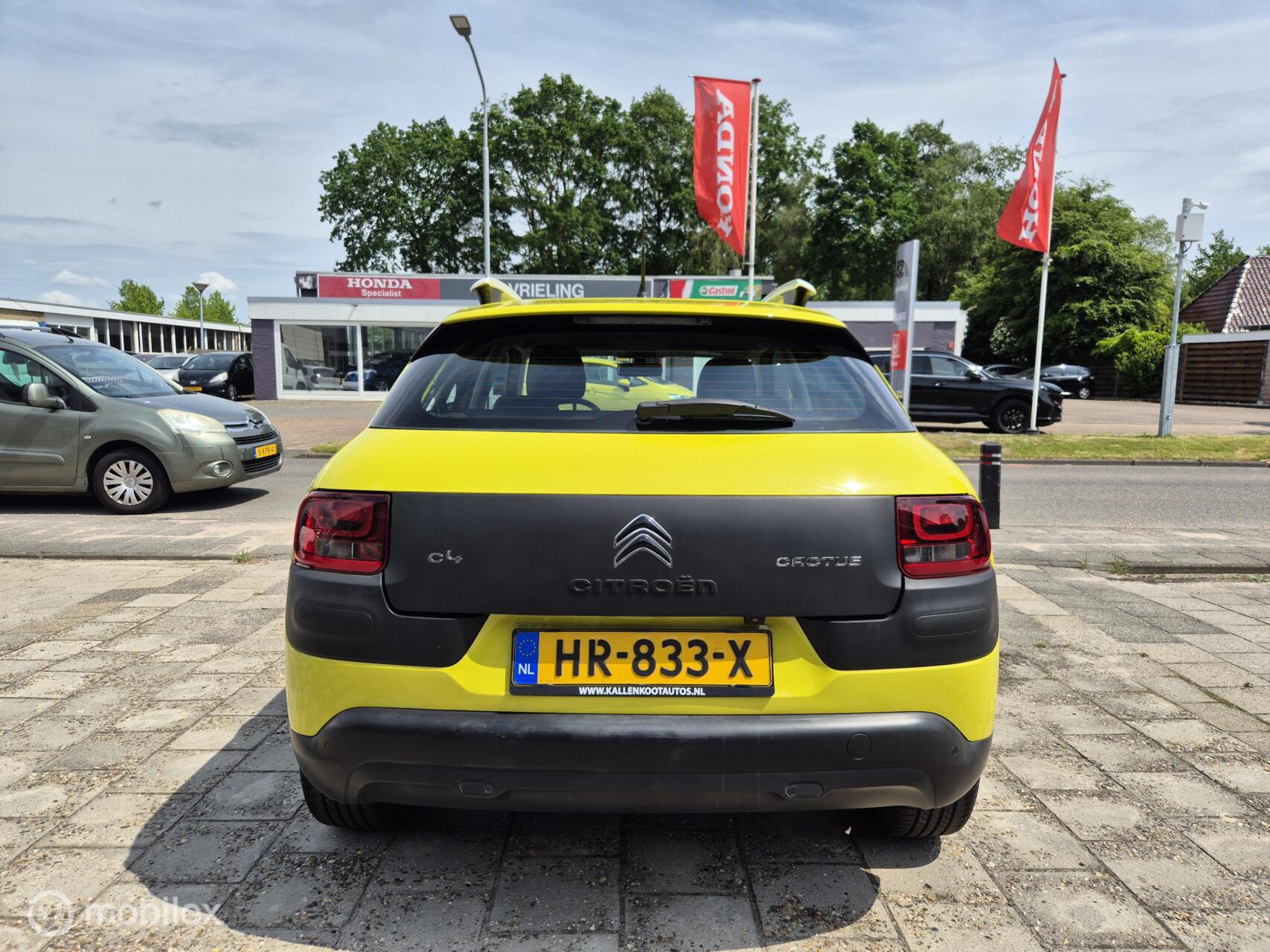 Foto van Citroen C4 Cactus