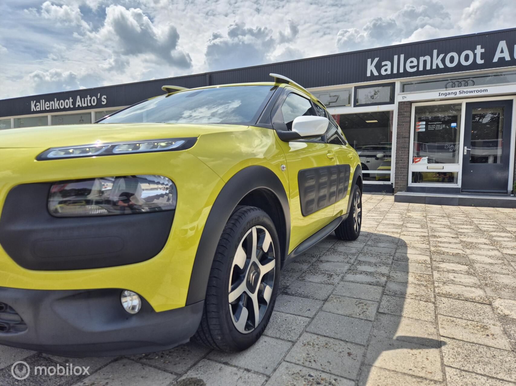 Foto van Citroen C4 Cactus