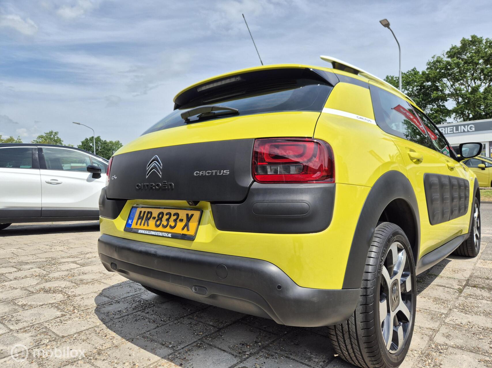 Foto van Citroen C4 Cactus