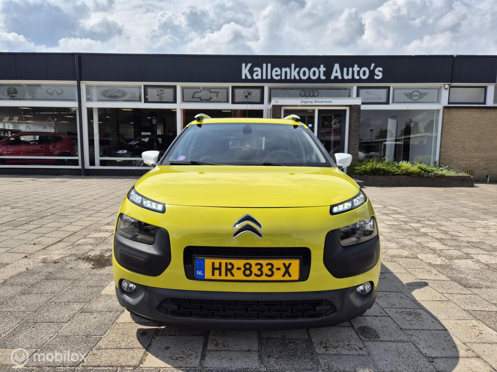 Foto van Citroen C4 Cactus
