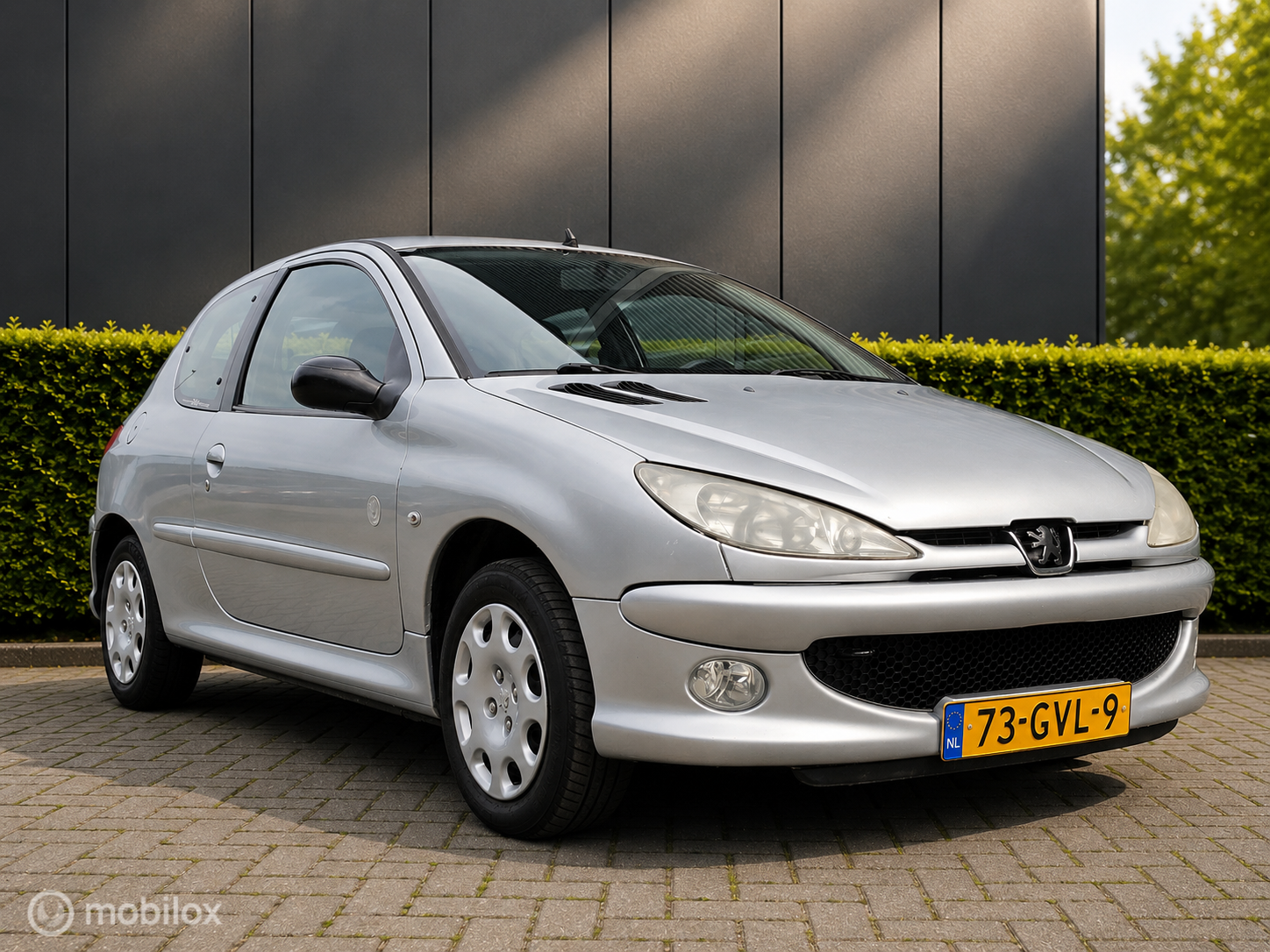 Foto van PEUGEOT 206