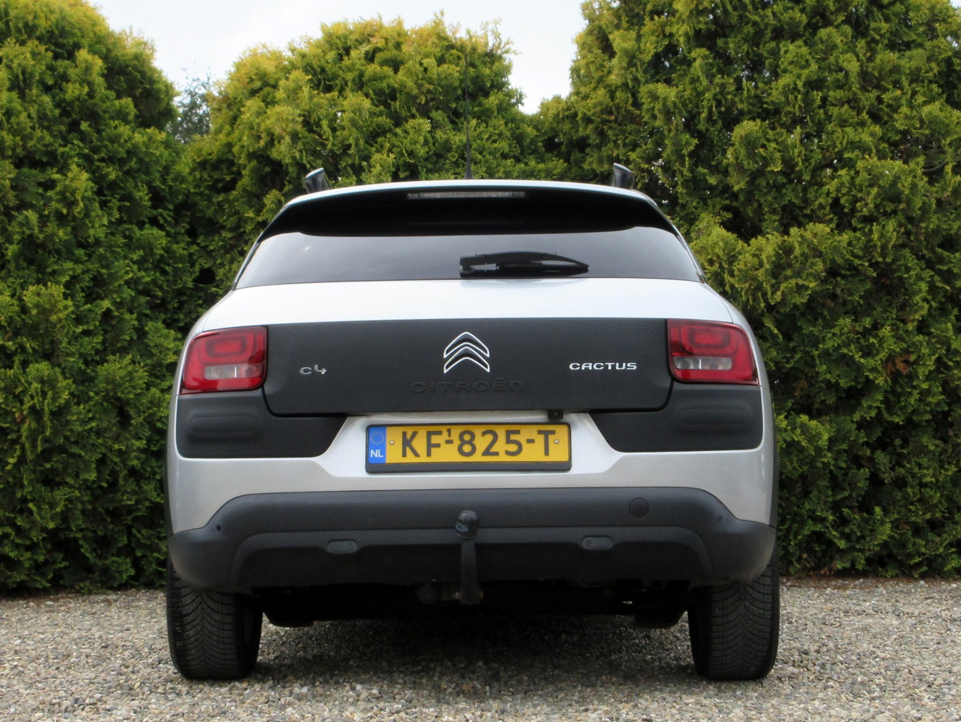 Foto van Citroen C4 Cactus