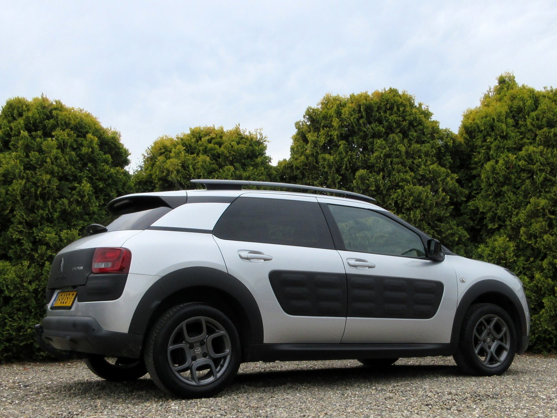Foto van Citroen C4 Cactus