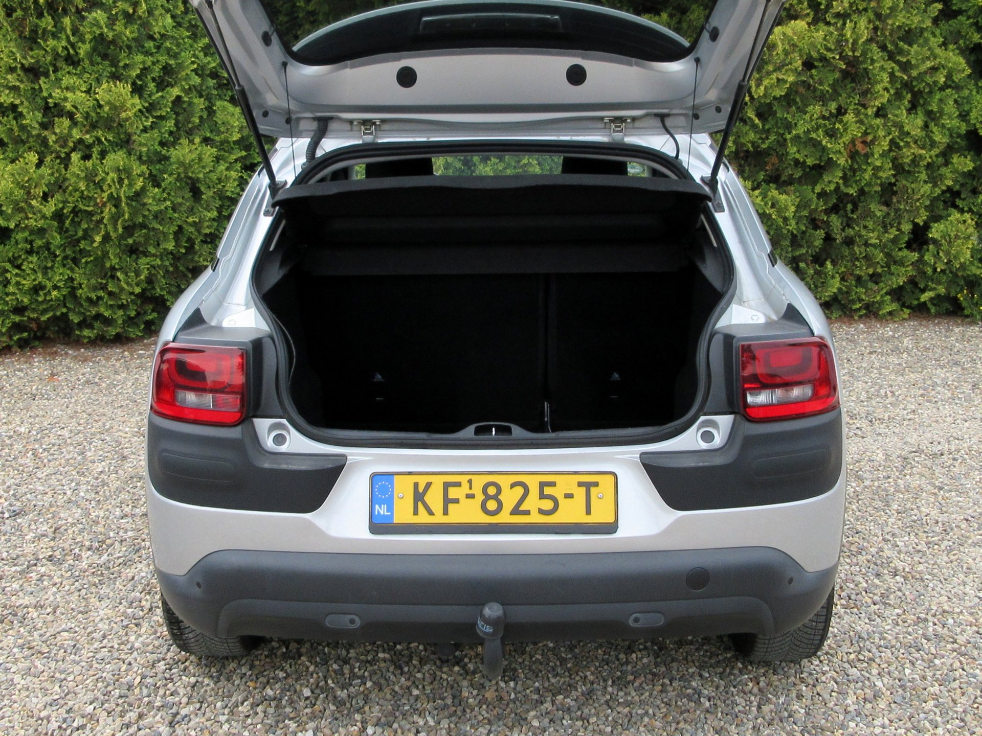 Foto van Citroen C4 Cactus