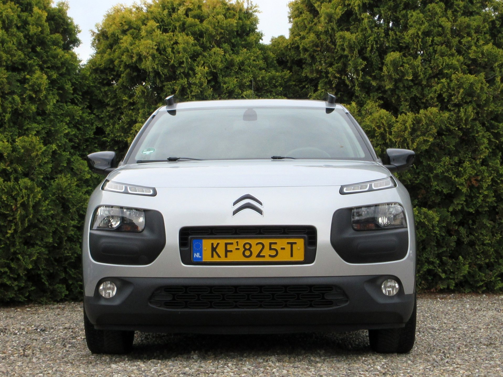 Foto van Citroen C4 Cactus