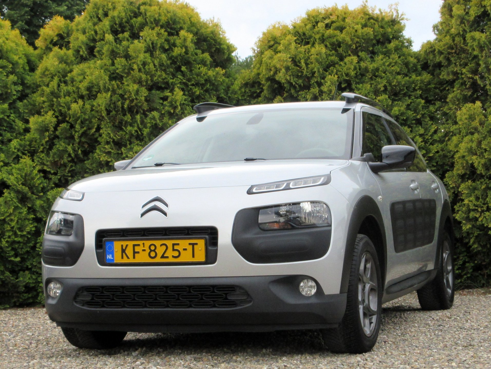 Foto van Citroen C4 Cactus