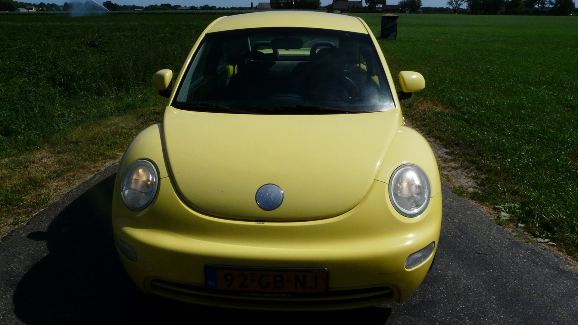 Foto van Volkswagen New Beetle