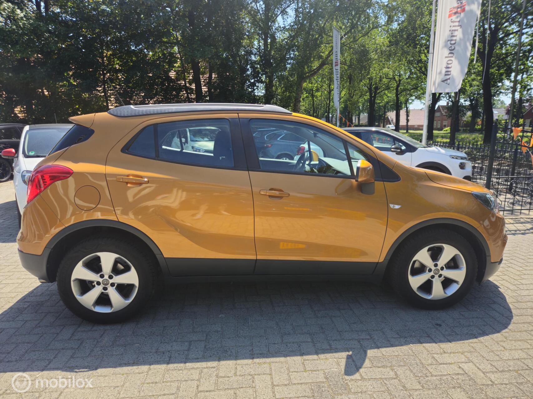 Foto van Opel Mokka X