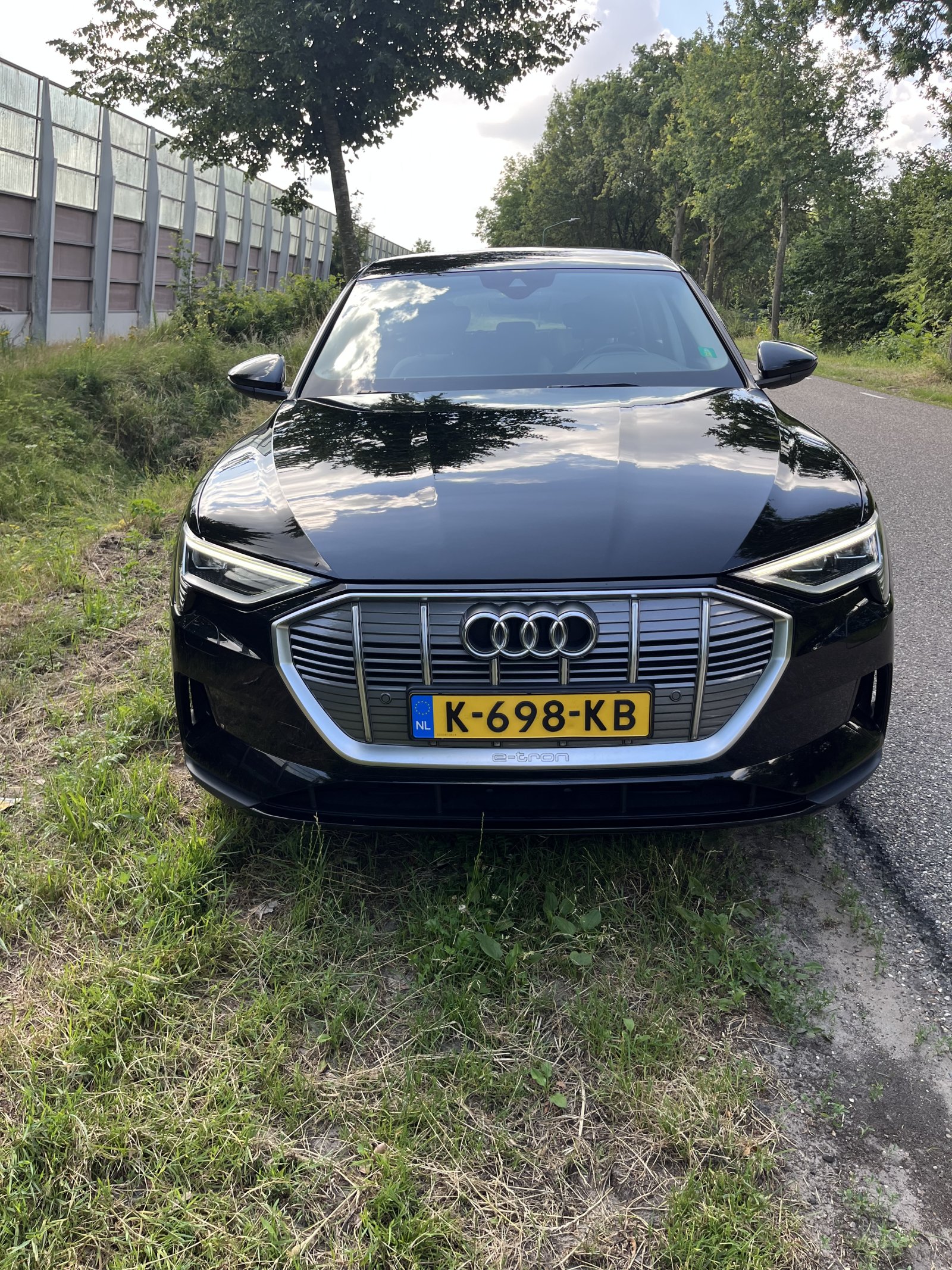 Inspectiefoto van Audi E-tron