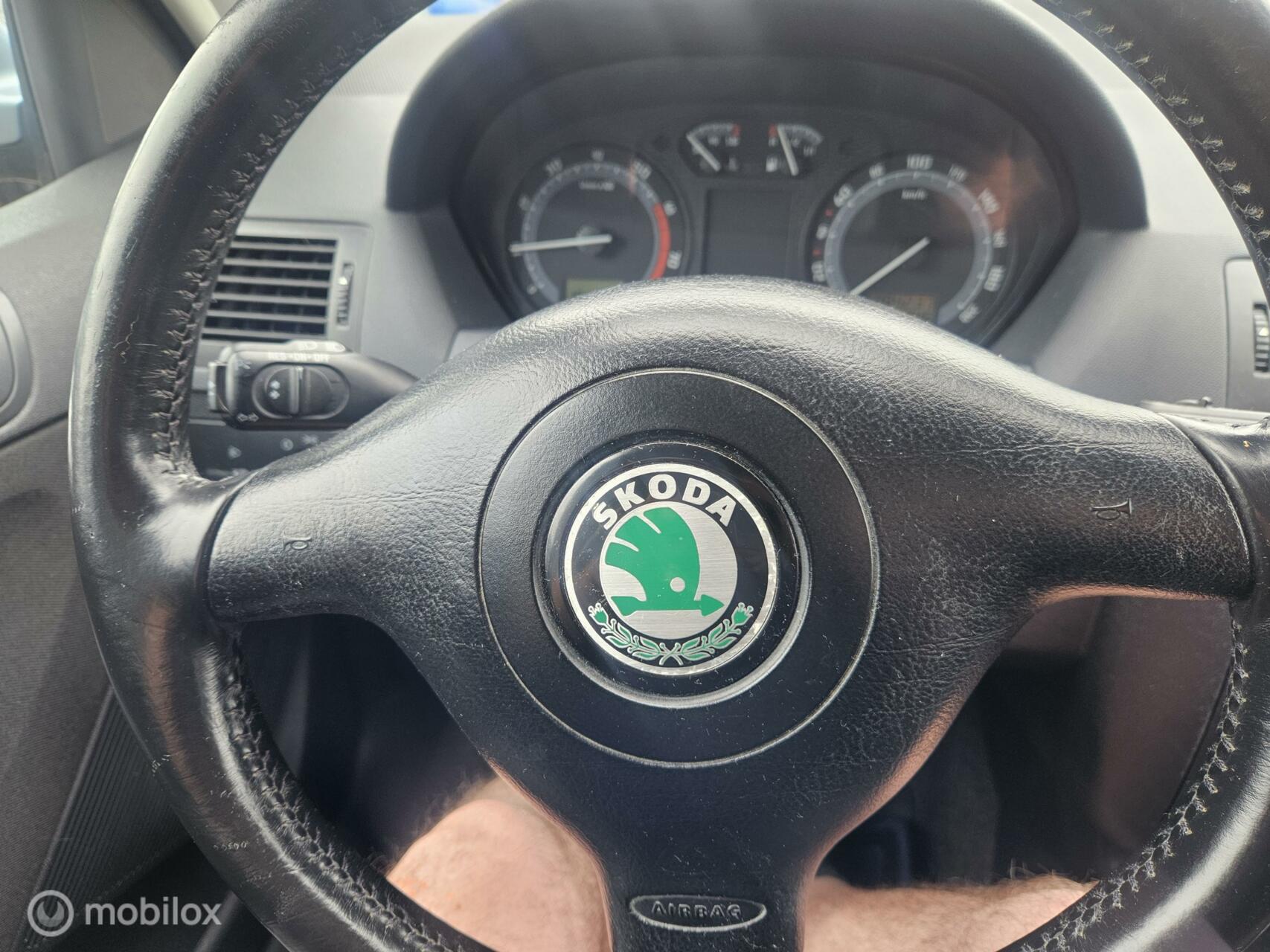 Foto van Skoda Fabia Combi