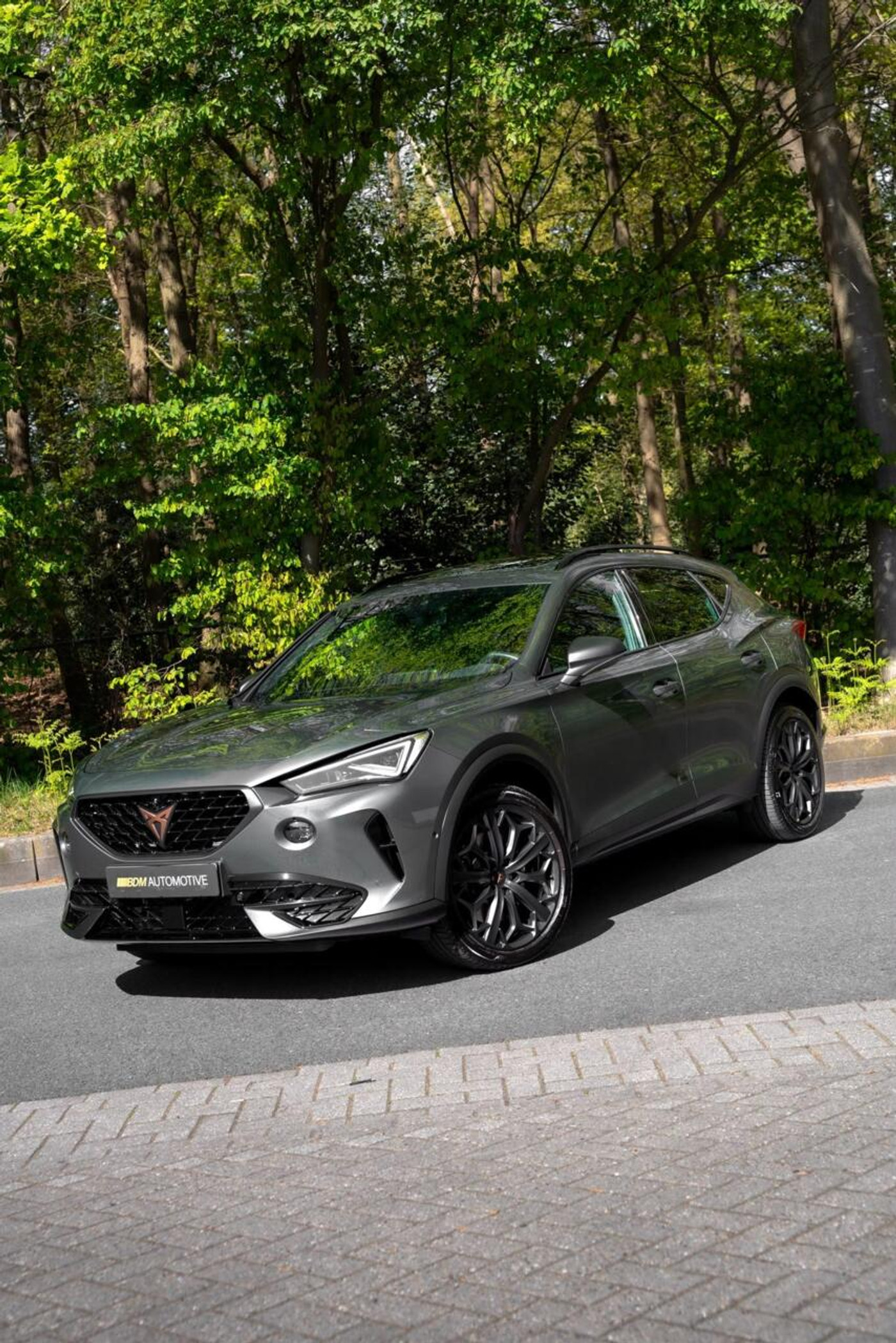 Foto van Cupra Formentor