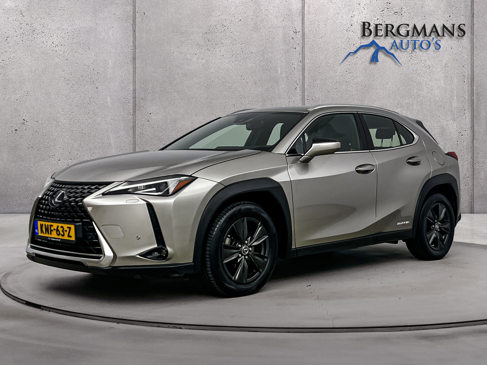 Foto van LEXUS LEXUS UX250H