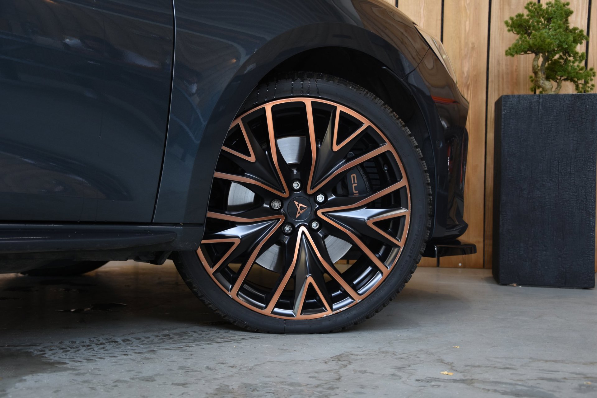 Foto van Cupra Leon