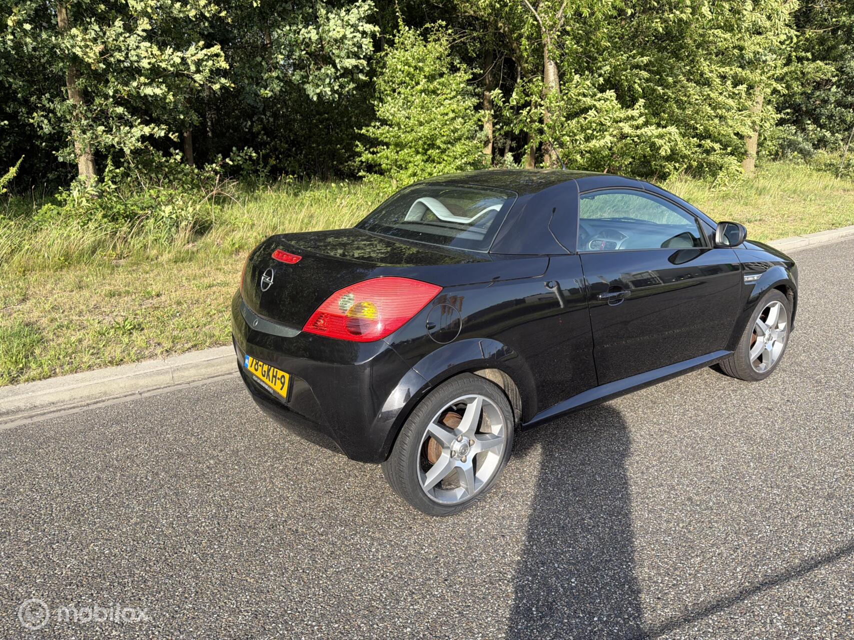 Foto van Opel Tigra