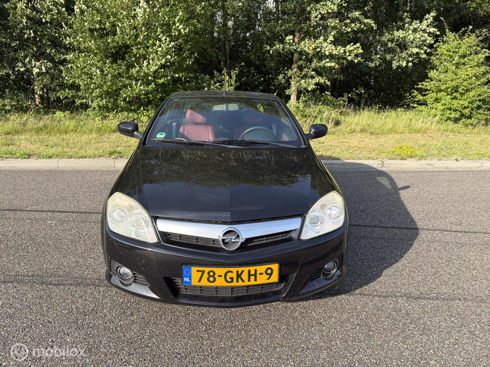 Foto van Opel Tigra