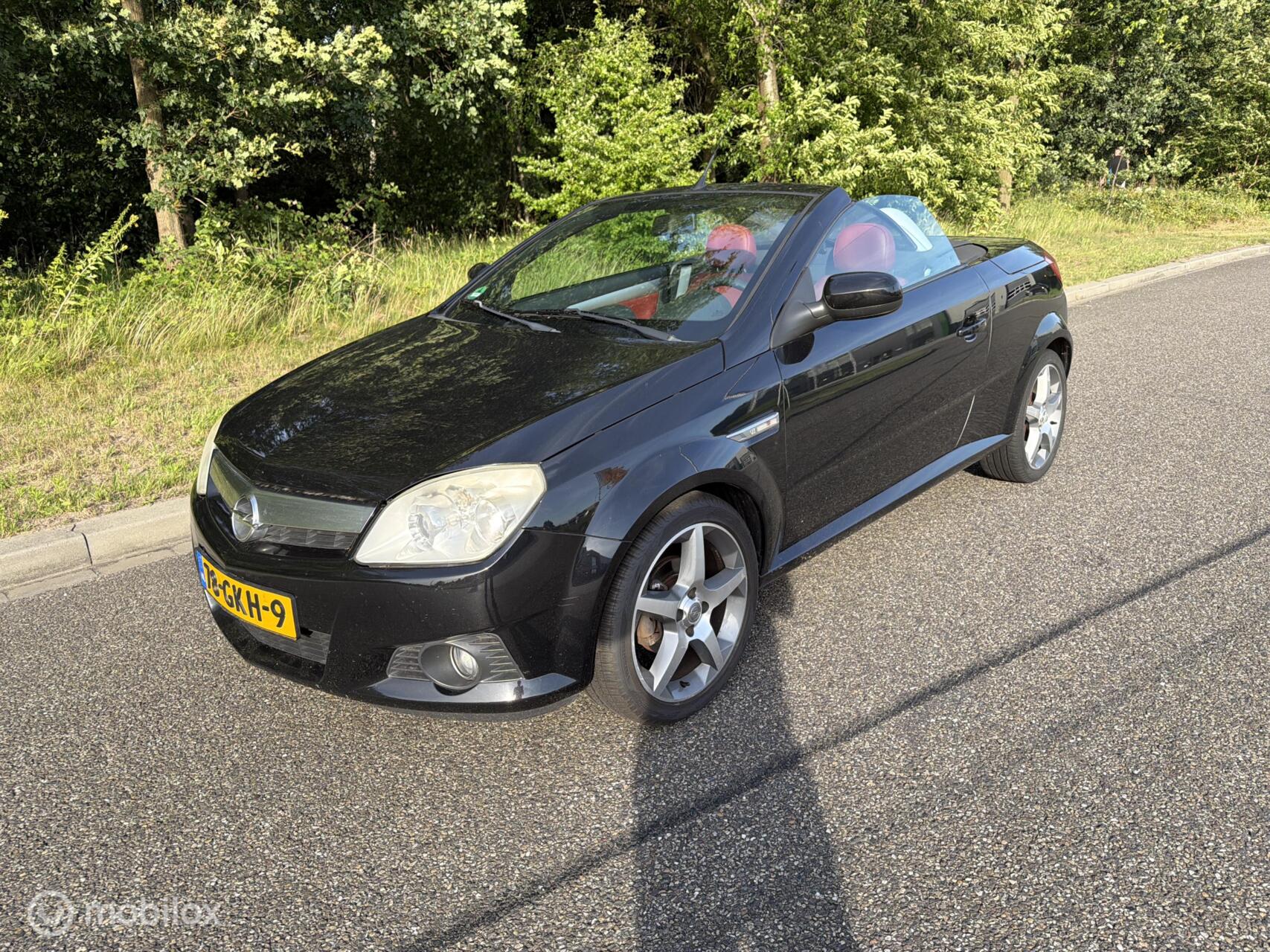 Foto van Opel Tigra