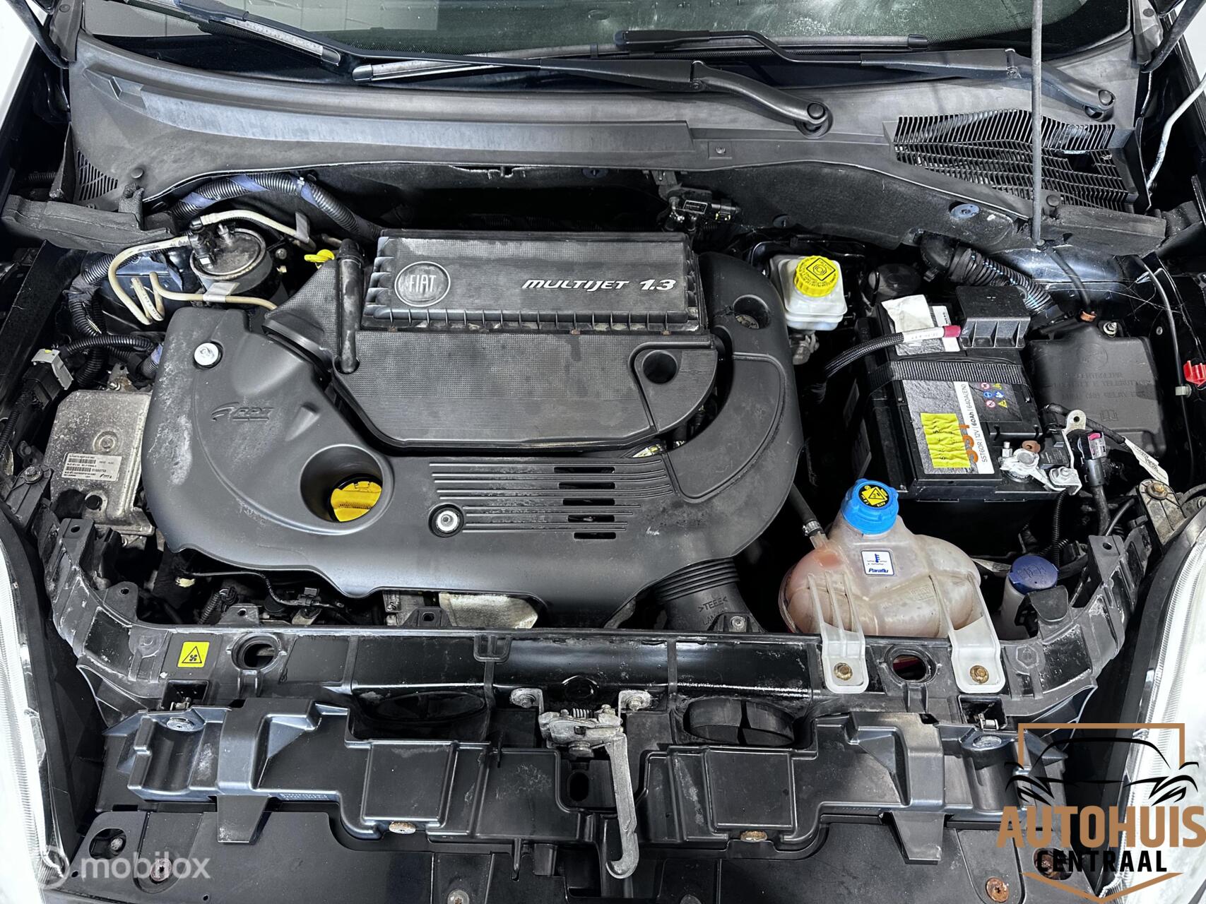Foto van Fiat Fiat Punto