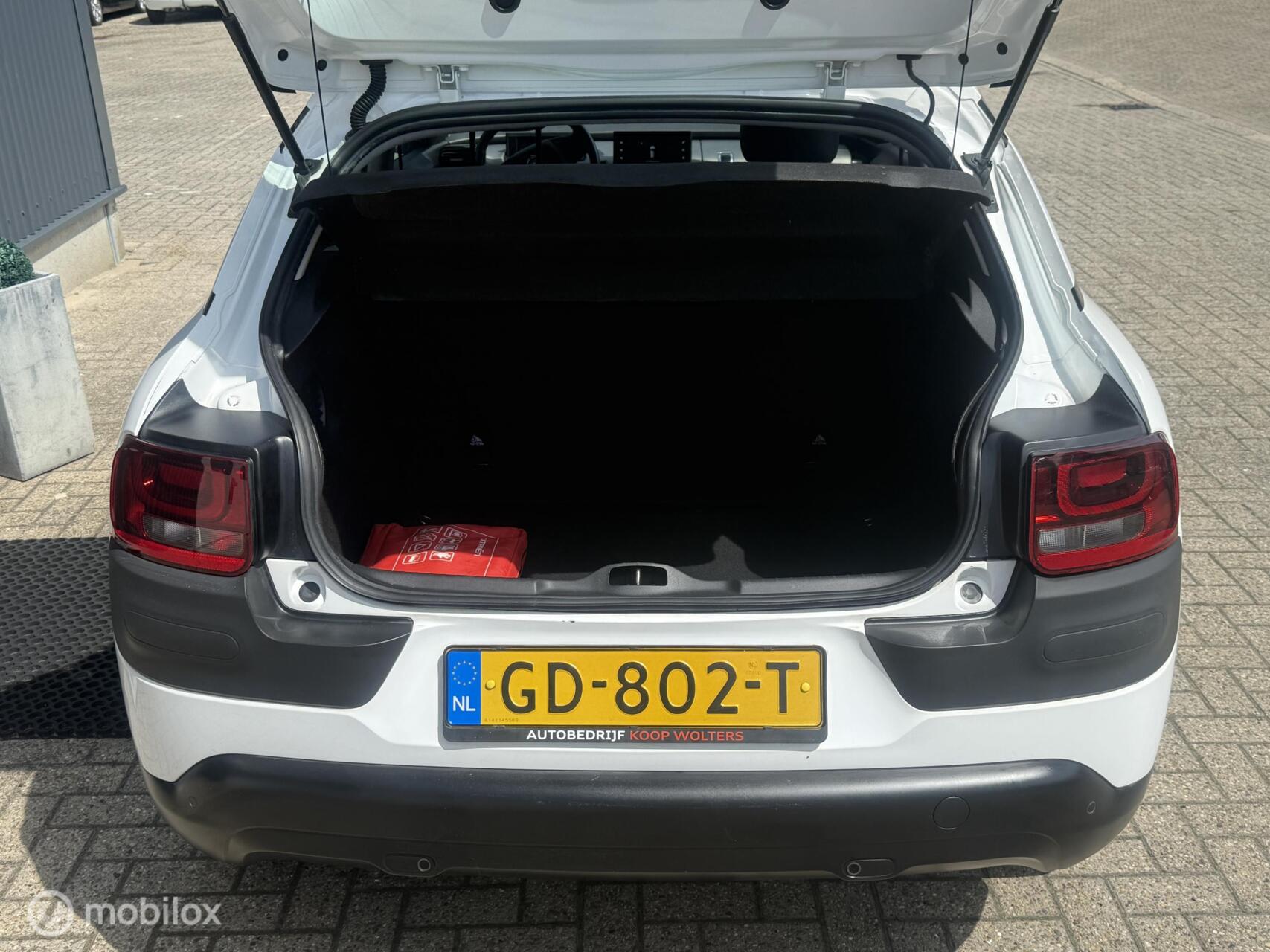 Foto van Citroen C4 Cactus